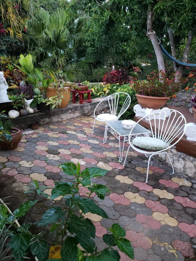Cliffe Ranch Villa Mandeville Ngoại thất bức ảnh