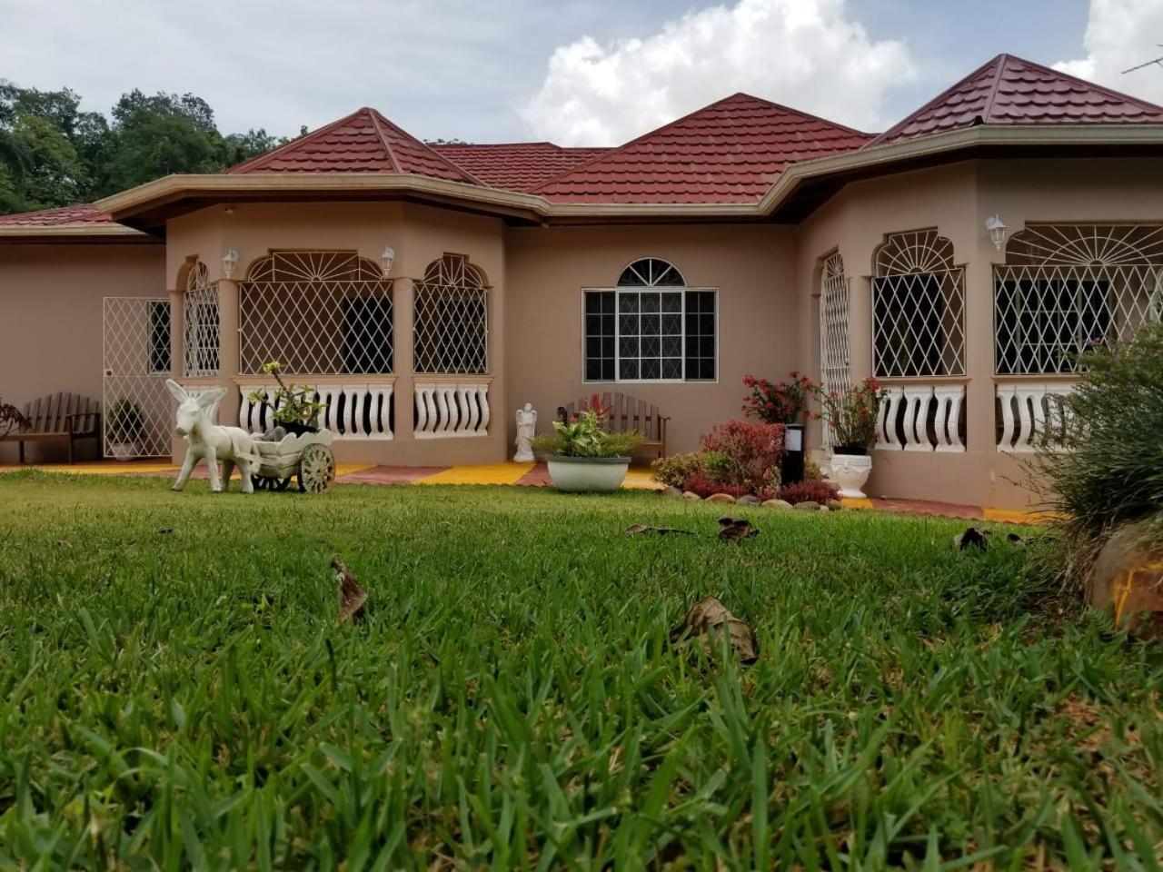 Cliffe Ranch Villa Mandeville Ngoại thất bức ảnh