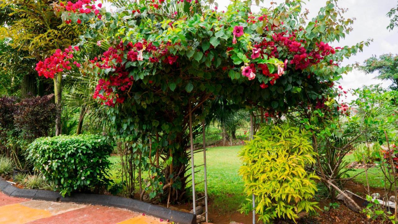 Cliffe Ranch Villa Mandeville Ngoại thất bức ảnh